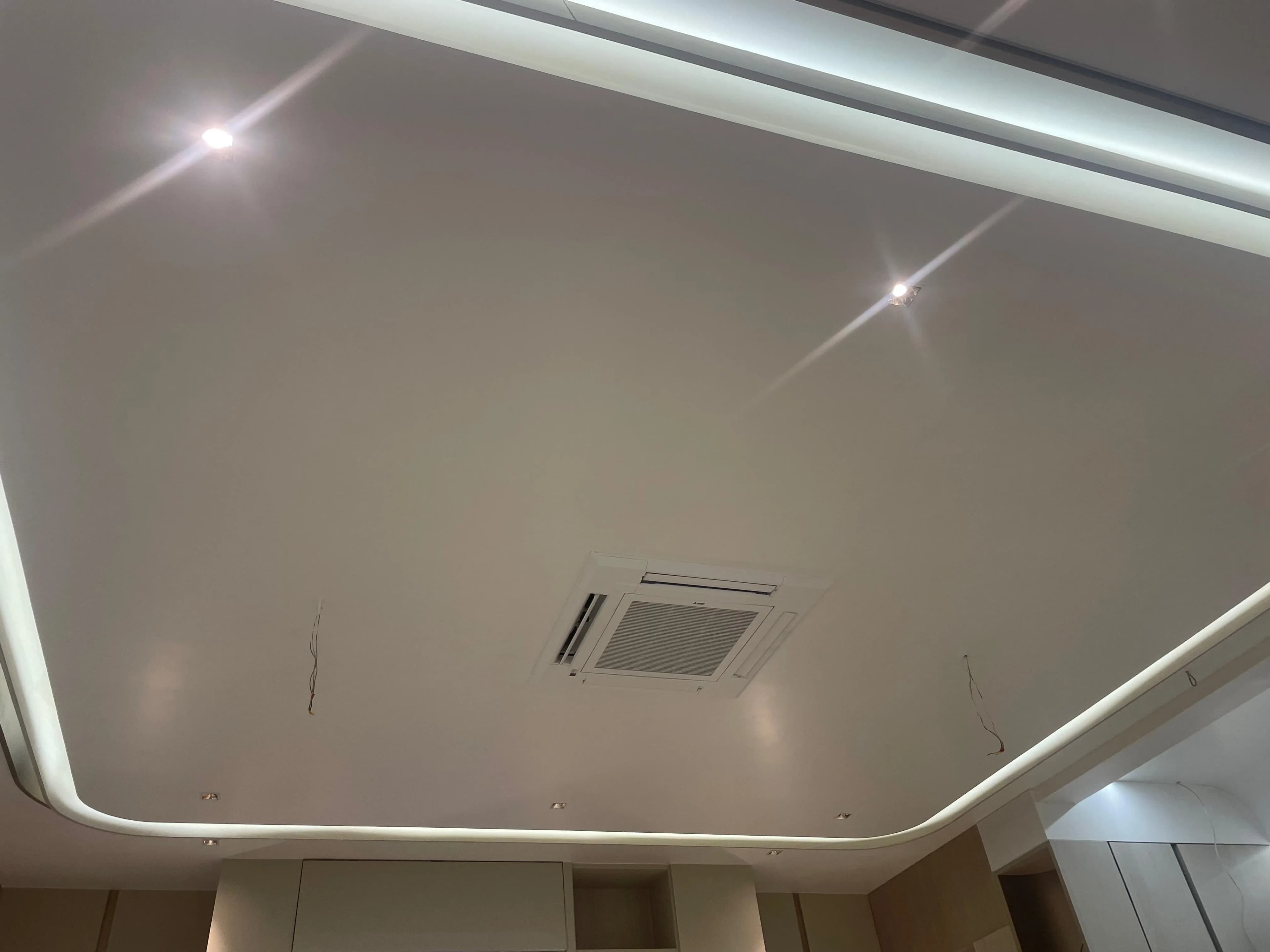 Designer Ceiling
